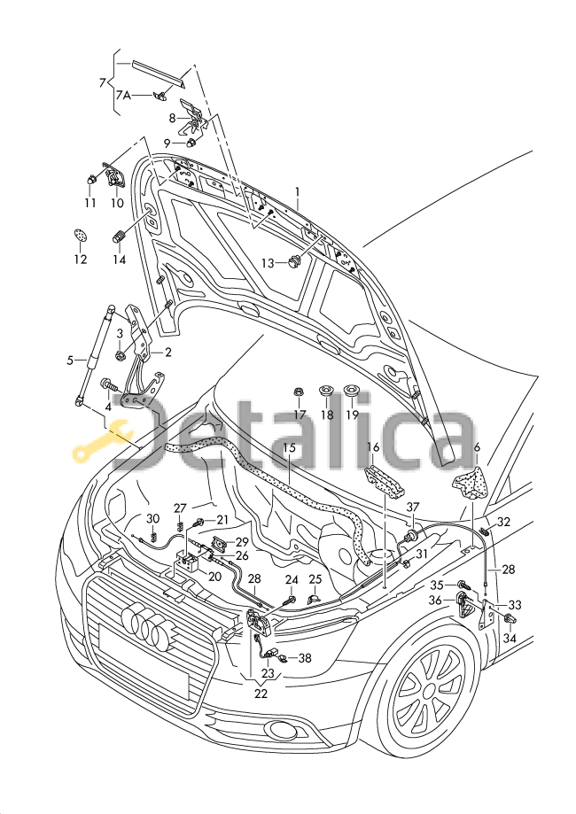 Капот для Ауди А1 Polcar от 2010